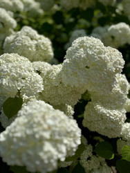 Similar image 22131415