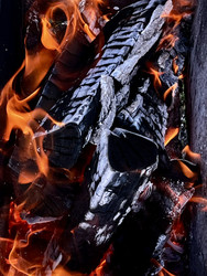 Similar image 22131416