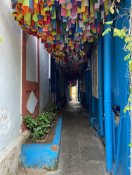 Similar image 22131420