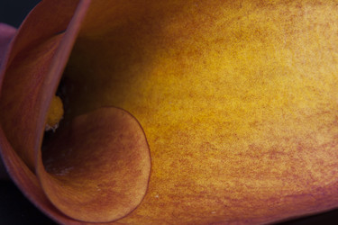 Similar image 22130791