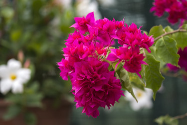 Similar image 22130794