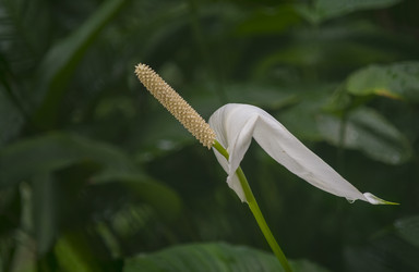 Similar image 22130798