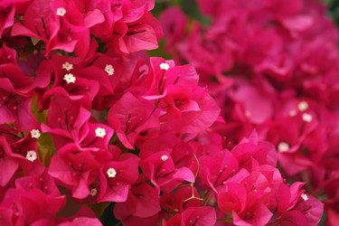 Similar image 22130801