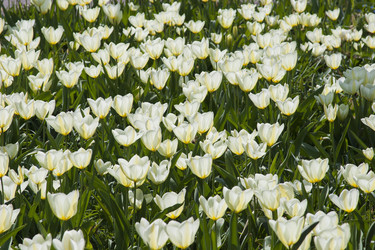 Similar image 22130803