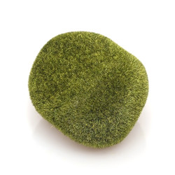 Similar image 22130816