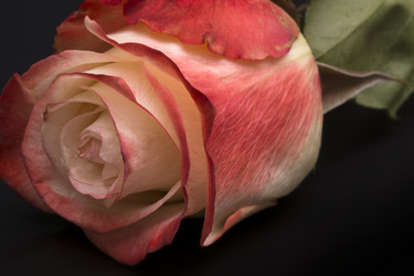 Similar image 22130820