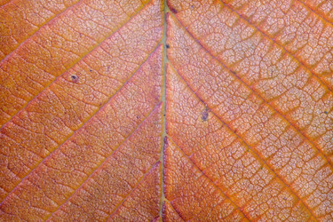 Similar image 22130821