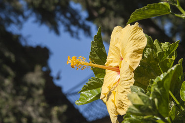 Similar image 22130822