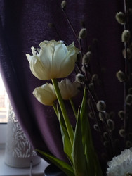 Similar image 22131422