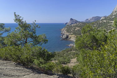 Similar image 22132078