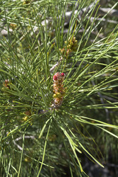 Similar image 22132083