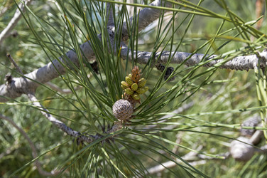 Similar image 22132084