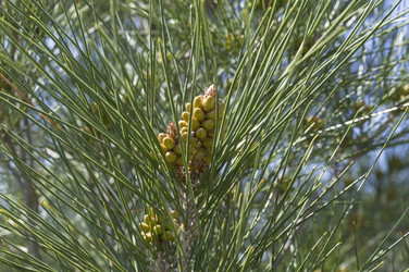 Similar image 22132085