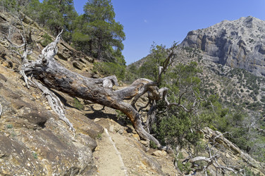 Similar image 22132086