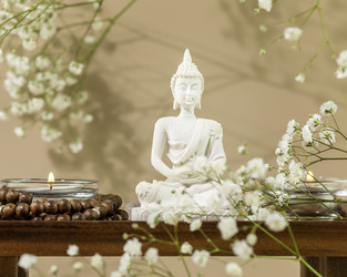 Similar image 22131453