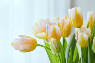 Similar image 22132175