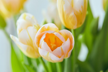 Similar image 22132176