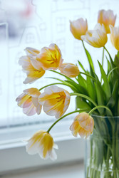 Similar image 22132178