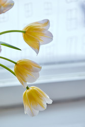 Similar image 22132179