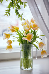 Similar image 22132181