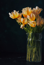 Similar image 22132190