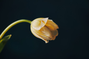 Similar image 22132191