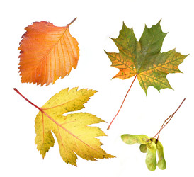 Similar image 22132290