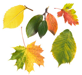 Similar image 22132291