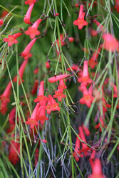 Similar image 22132293