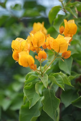 Similar image 22132216