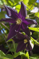 Similar image 22132217