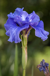 Similar image 22132222