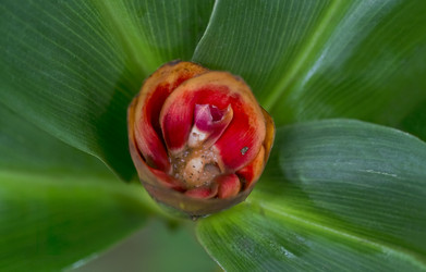 Similar image 22132223