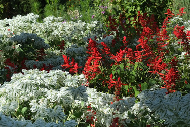 Similar image 22132224