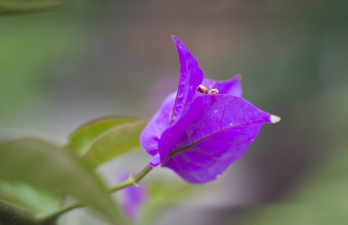 Similar image 22132227