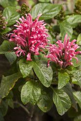 Similar image 22132229