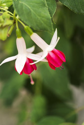 Similar image 22132230