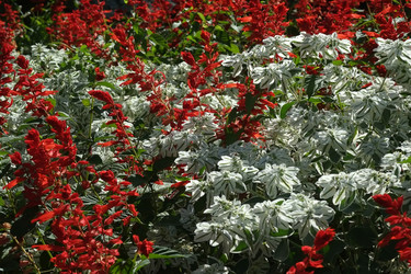 Similar image 22132231