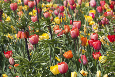 Similar image 22132232