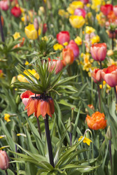 Similar image 22132234