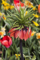 Similar image 22132235