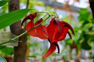 Similar image 22132236