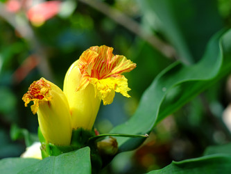 Similar image 22132237