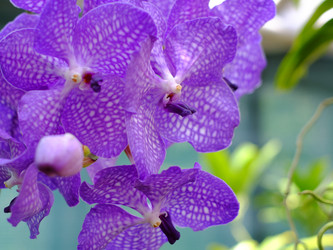 Similar image 22132238