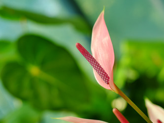 Similar image 22132239