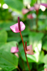 Similar image 22132240