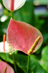 Similar image 22132241