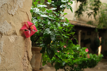 Similar image 22132242