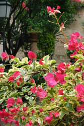 Similar image 22132243