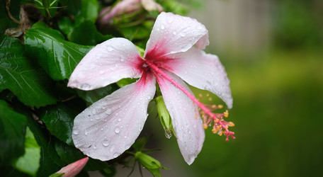 Similar image 22132245